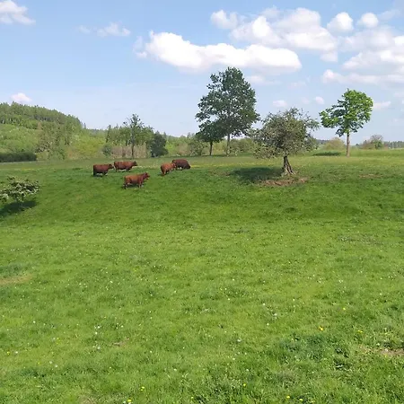 Lejlighed Harzer Bauernhof *