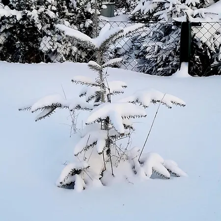 Appartamento Harzer Bauernhof *