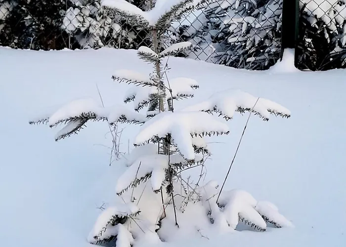 Appartamento Harzer Bauernhof *